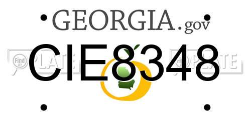 CIE8348 Georgia License Plate
