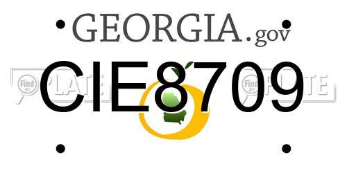 CIE8709 Georgia License Plate