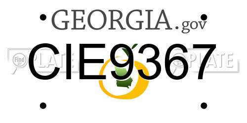 CIE9367 Georgia License Plate