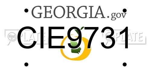 CIE9731 Georgia License Plate