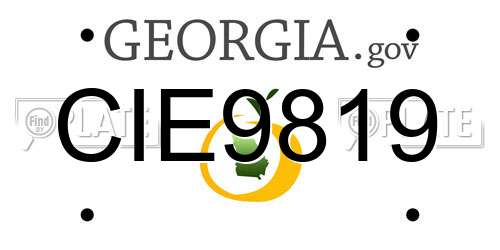 CIE9819 Georgia License Plate