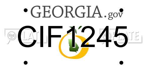CIF1245 Georgia License Plate