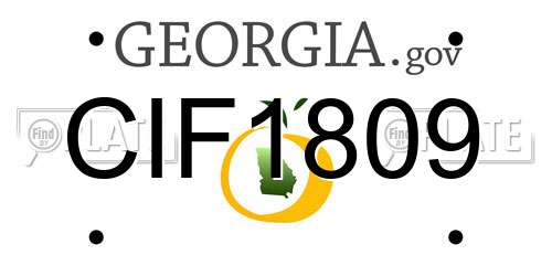 CIF1809 Georgia License Plate