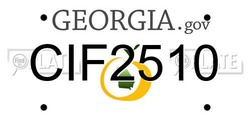 CIF2510 Georgia License Plate