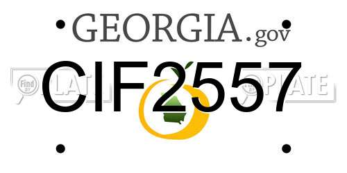 CIF2557 Georgia License Plate