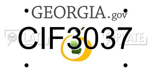 CIF3037 Georgia License Plate