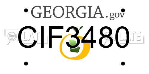 CIF3480 Georgia License Plate