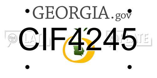 CIF4245 Georgia License Plate