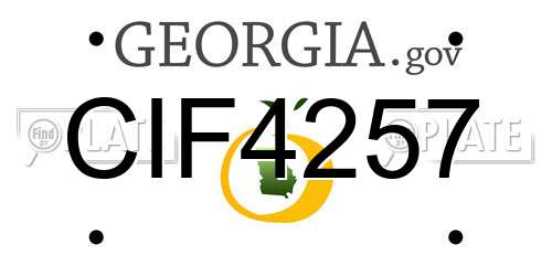 CIF4257 Georgia License Plate
