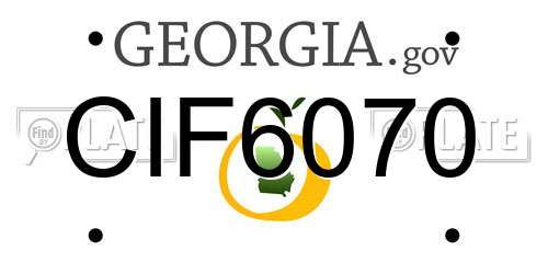 CIF6070 Georgia License Plate