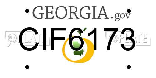 CIF6173 Georgia License Plate