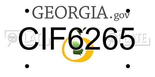 CIF6265 Georgia License Plate