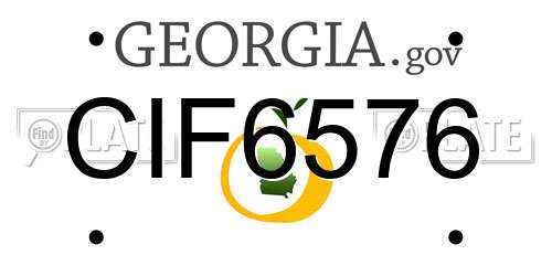 CIF6576 Georgia License Plate