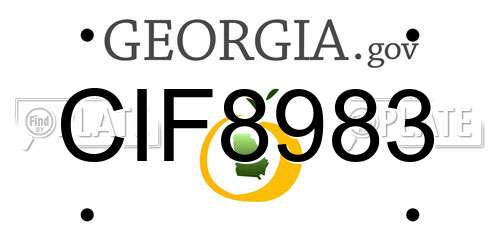 CIF8983 Georgia License Plate
