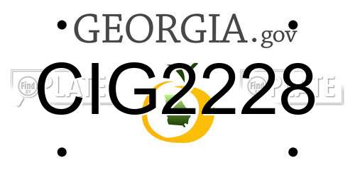 CIG2228 Georgia License Plate