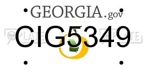 CIG5349 Georgia License Plate