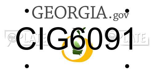 CIG6091 Georgia License Plate