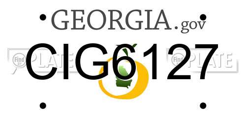 CIG6127 Georgia License Plate
