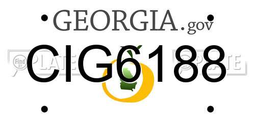 CIG6188 Georgia License Plate