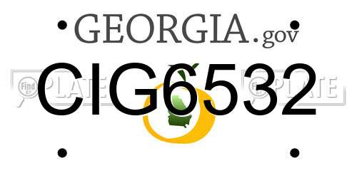 CIG6532 Georgia License Plate