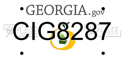 CIG8287 Georgia License Plate