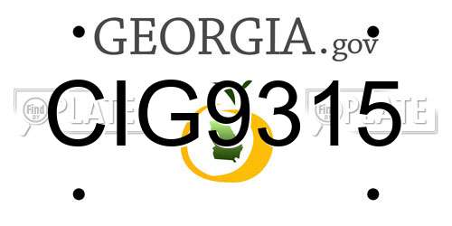 CIG9315 Georgia License Plate