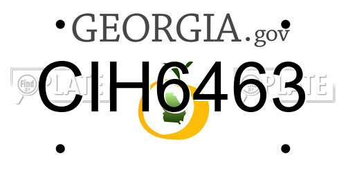 CIH6463 Georgia License Plate