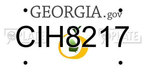 CIH8217 Georgia License Plate