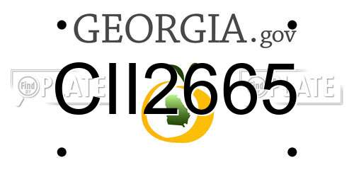 CII2665 Georgia License Plate