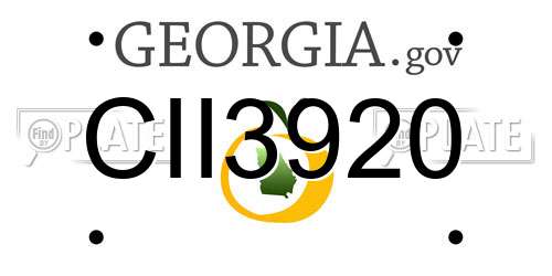 CII3920 Georgia License Plate