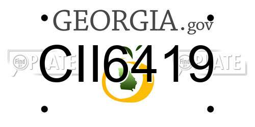 CII6419 Georgia License Plate