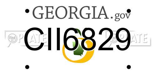 CII6829 Georgia License Plate