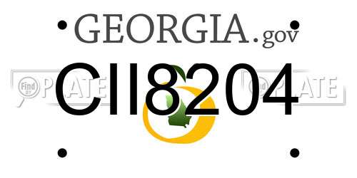 CII8204 Georgia License Plate