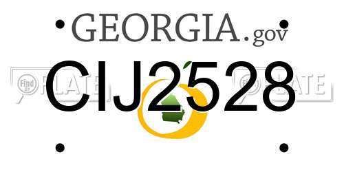 CIJ2528 Georgia License Plate