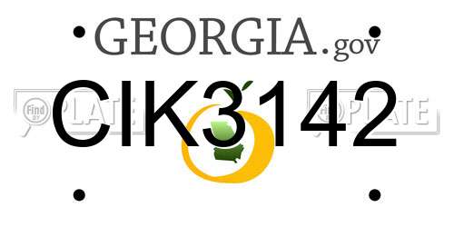 CIK3142 Georgia License Plate