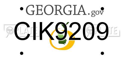 CIK9209 Georgia License Plate