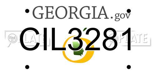 CIL3281 Georgia License Plate