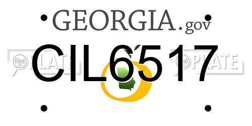 CIL6517 Georgia License Plate