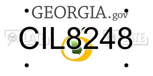 CIL8248 Georgia License Plate