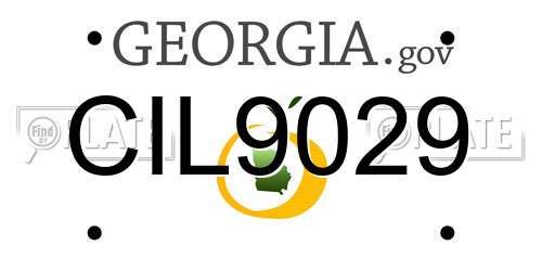 CIL9029 Georgia License Plate