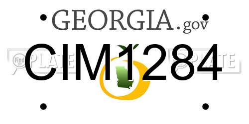 CIM1284 Georgia License Plate
