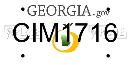 CIM1716 Georgia License Plate