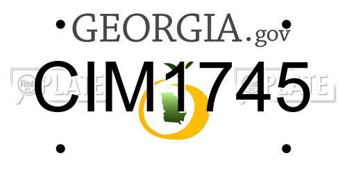 CIM1745 Georgia License Plate