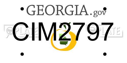 CIM2797 Georgia License Plate
