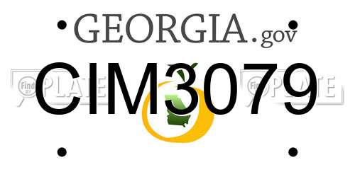 CIM3079 Georgia License Plate