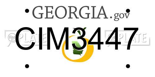 CIM3447 Georgia License Plate