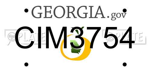 CIM3754 Georgia License Plate