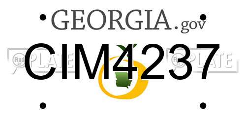 CIM4237 Georgia License Plate