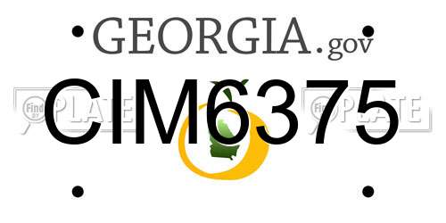 CIM6375 Georgia License Plate