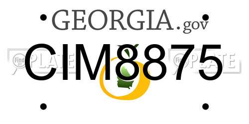 CIM8875 Georgia License Plate